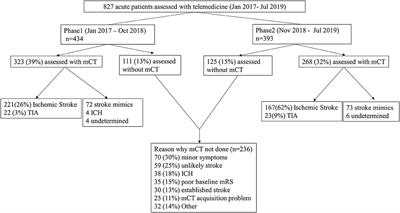 The Need for Structured Strategies to Improve Stroke Care in a Rural Telestroke Network in Northern New South Wales, Australia: An Observational Study